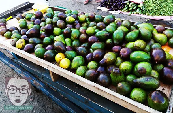 Avocado from the Market, MomFinanceBlog