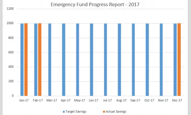 Monthly Financial Progress Report – February 2017
